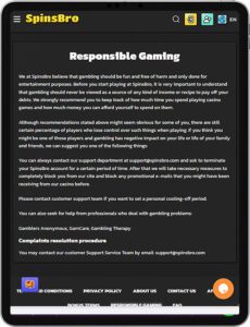 SpinsBro Mobile App Responsible Gaming