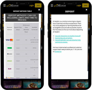 HeySpin Mobile App Payment Methods