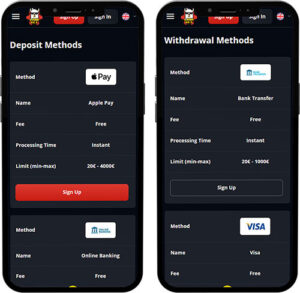 Lamabet Mobile App Payment Methods