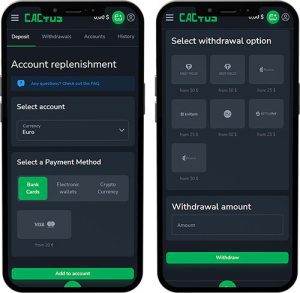 Cactus Casino Mobile App Payment Methods