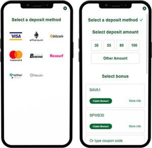 Savanna Wins Mobile App Payment Methods