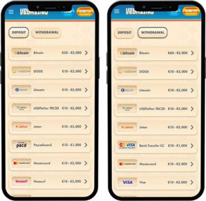 Vegasino Mobile App Payment Methods