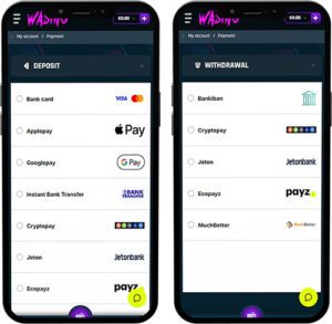 Wasino Mobile App Payment Methods