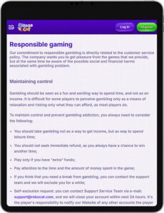 RoboCat Mobile App Responsible Gaming