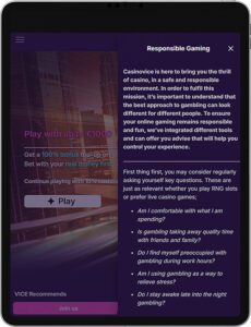 Casino Vice Mobile App Responsible Gaming