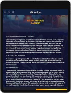 Juego Responsable en la App Móvil Vulkka