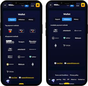 RioAce Mobile App Payment Methods