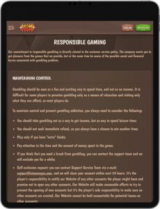 StoneVegas Mobile App Responsible Gaming