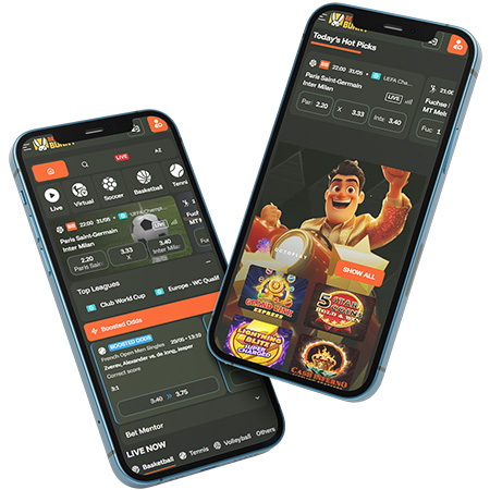 Revue du Casino Bets Bunny Mobile App