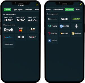 Richville Mobile App Payment Methods