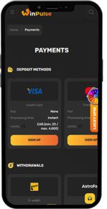 WinPulse Mobile App Payment Methods