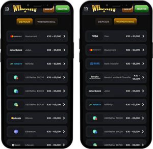 Wildsino Mobile App Payment Methods