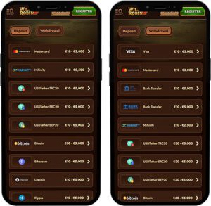 Metodi di pagamento dell’app mobile di WildRobin