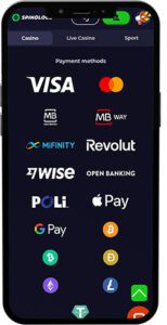 Spinoloco Mobile App Payment Methods