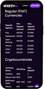 WeezyBet Mobile App Zahlungsmethoden