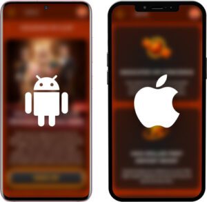 VegaZone Mobilalkalmazás Operációs Rendszerek