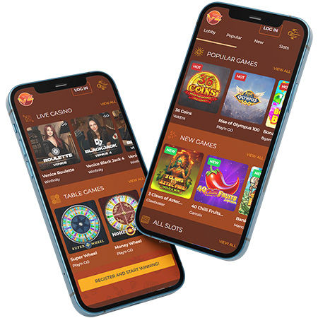 VegaZone Mobile App Review