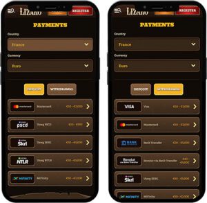 Lizaro mobilalkalmazás fizetési módok