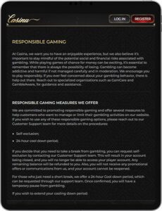 Casina Mobile App Responsible Gaming