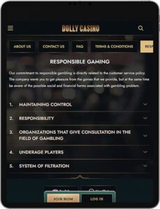 Dolly Casino Mobile App Verantwortungsbewusstes Spielen