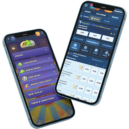 DudeSpin Mobile App Casino Review