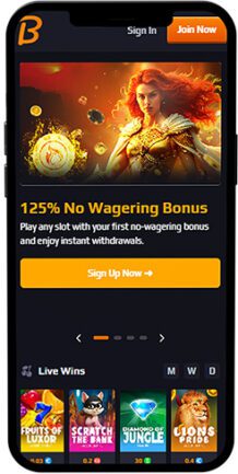 Blaze Spins Mobile App