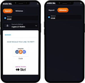 Blaze Spins Mobile App Payment Methods