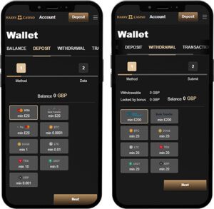 Harry-Casino Mobile App Payment Methods