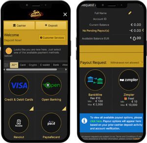 Spin Grande Mobile App Payment Methods