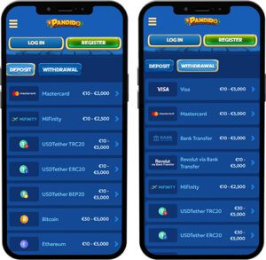 Pandido Mobile App Payment Methods