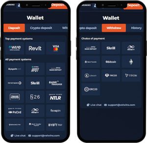 Velwins Mobile App Payment Methods