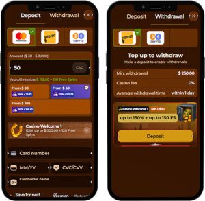 RodeoSlot Mobile App Payment Methods