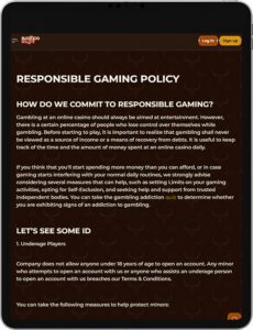 RodeoSlot Mobile App Responsible Gaming