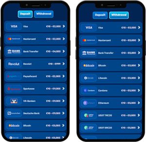 Spinfin Mobile App Payment Methods