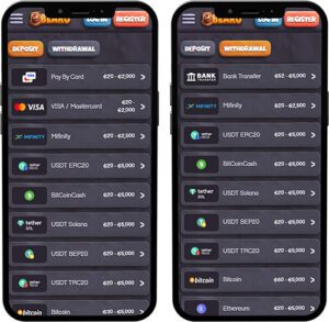 Bearo Mobile App Payment Methods
