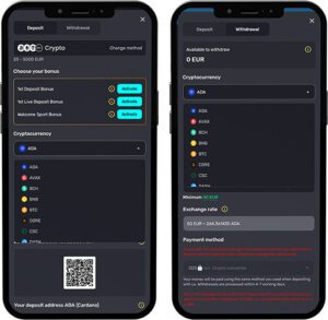 Inkybet Mobile App Payment Methods