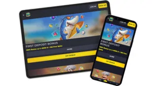 Promotions de l'application mobile Playmoola