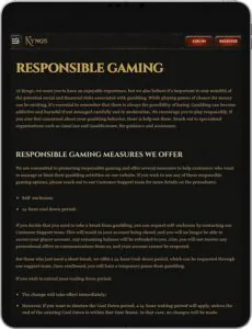 Kyngs Mobile App Jeu responsable